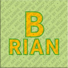 Magnet - BRIAN
