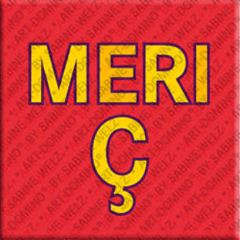 Magnet - MERIÇ