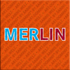 Magnet - MERLIN