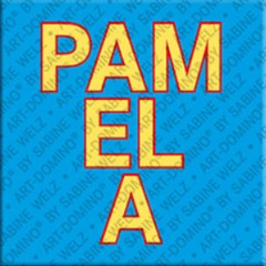 Aimant - PAMELA