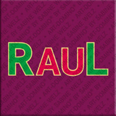 Aimant - RAUL