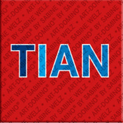 Magnet - TIAN