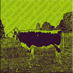 Magnet - Deutschland - Chiemsee - 03