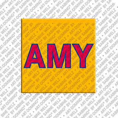 Magnet - AMY