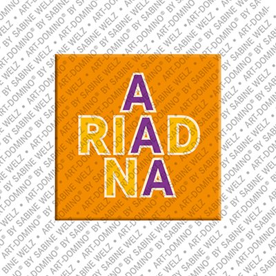 Magnet - ARIADNA