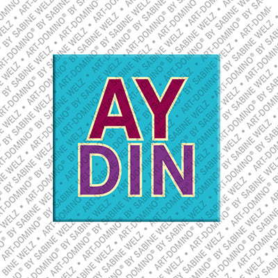Magnet - AYDIN