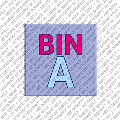 Magnet - BINA
