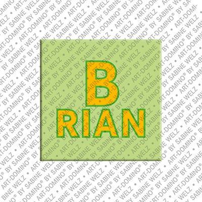 Magnet - BRIAN