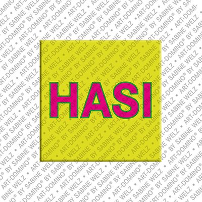 Magnet - HASI