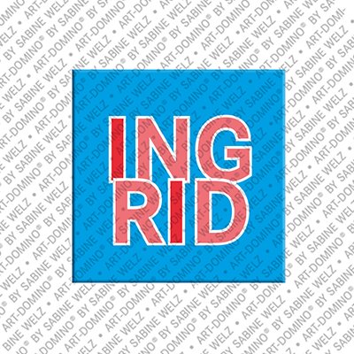 Magnet - INGRID