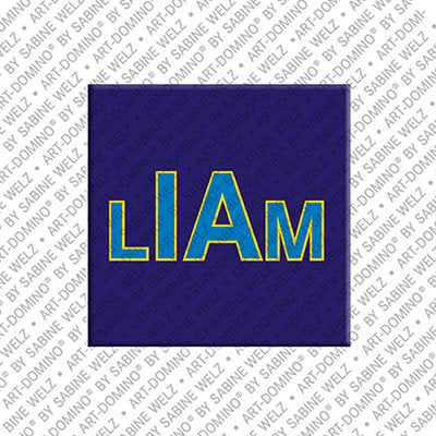 Magnet - LIAM