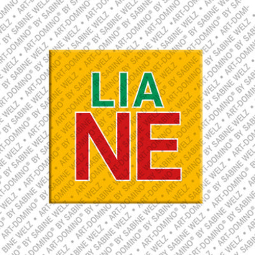 Aimant - LIANE