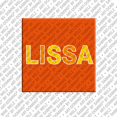 Magnet - LISSA