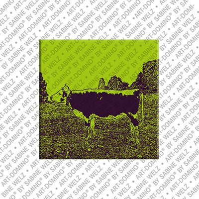 Magnet - Deutschland - Chiemsee - 03