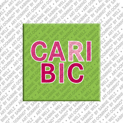 Magnet - Caribic