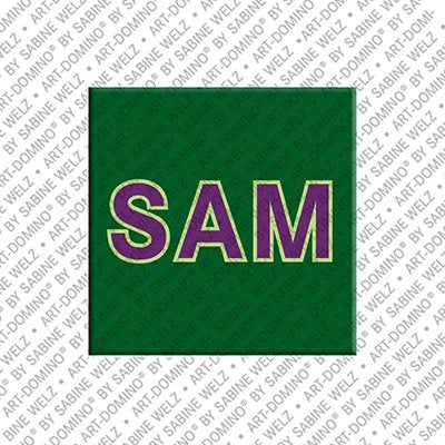 Magnet - SAM