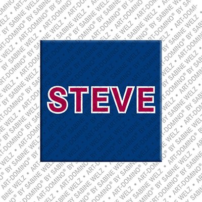 Magnet - STEVE