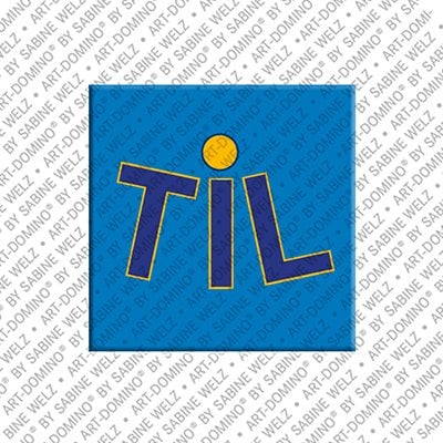 Magnet - TIL