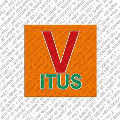 Magnet - VITUS