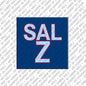 Kühlschrankmagnet Salz