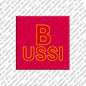 Kühlschrankmagnet Bussi