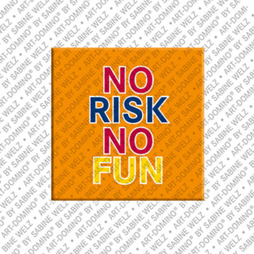Kühlschrankmagnet No Risk No Fun