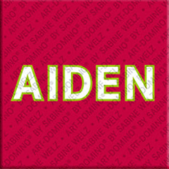 Magnet - AIDEN