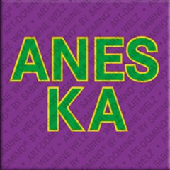 Magnet - ANESKA
