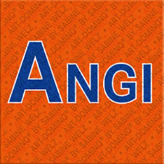 Magnet - ANGI
