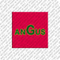 Kühlschrankmagnet Angus