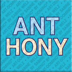 Magnet - ANTHONY