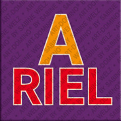 Magnet - ARIEL