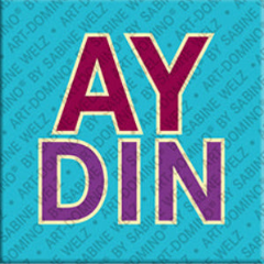 Magnet - AYDIN
