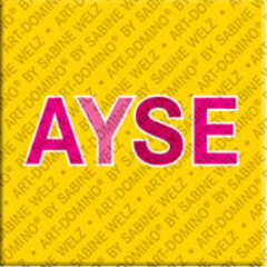 Magnet - AYSE
