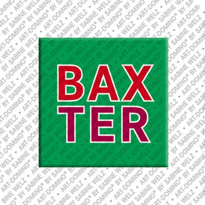 Kühlschrankmagnet Baxter