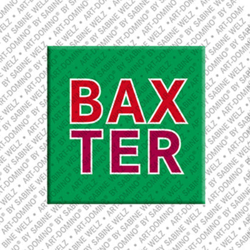 Kühlschrankmagnet Baxter