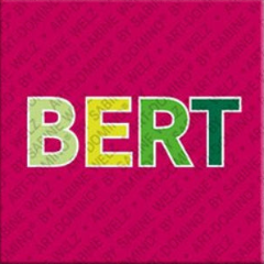 Magnet - BERT