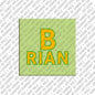 Kühlschrankmagnet Brian