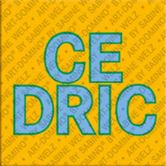 Magnet - CEDRIC
