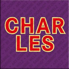 Magnet - CHARLES