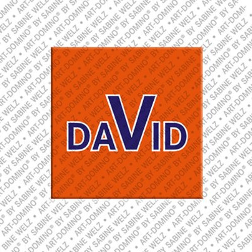 Kühlschrankmagnet David