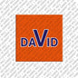Kühlschrankmagnet David