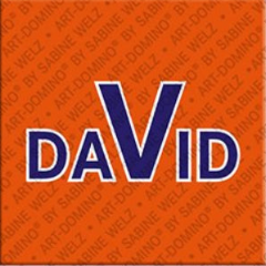 Magnet - DAVID