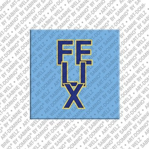 Kühlschrankmagnet Felix