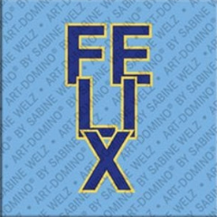 Magnet - FELIX