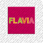 Kühlschrankmagnet Flavia