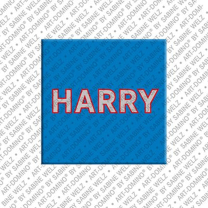 Kühlschrankmagnet Harry
