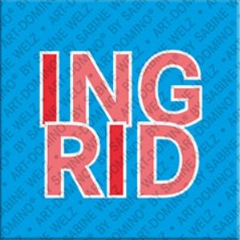 Magnet - INGRID