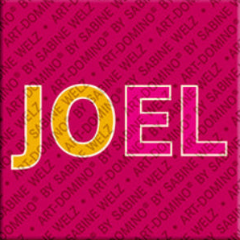 Magnet - JOEL
