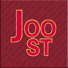 Magnet - JOOST